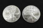 NobleSpirit (LG) Desirable American SILVER Eagle Pair 2009 & 2010 Superb GEM BU