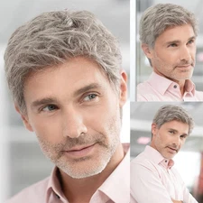 Mens Short Grey Wig Natural Layered Costume Halloween Wigs Synthetic -Beige Grey
