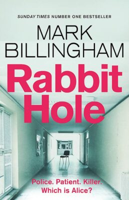 Rabbit Hole: The new masterpiece from the Sunday Times number one bestseller, Bi