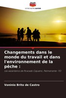Voninio Brito De Castro | Changements Dans Le Monde Du Travail Et Dans...