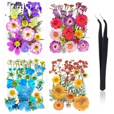 100 Pcs Dried Flowers for Crafts   Real Natural Pressed Flowers  Leaves w