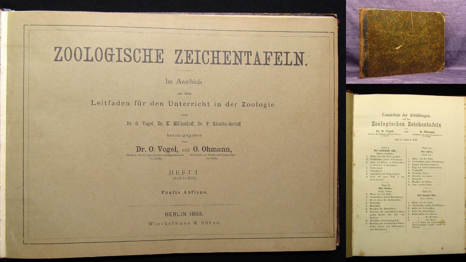 Vogel,Ohmann Zoologische Zeichentafeln 3 Hefte komplett 1892-93 54 Tafeln gesamt - Bild 1 von 4