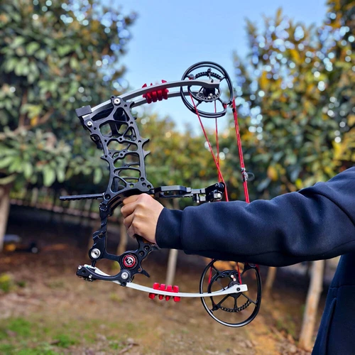 Compound Bow 30-75lbs Steel Ball Arrows set Dual-use Hunting RH LH Archery Shot - Picture 12 of 43
