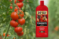 1.2L Levington Tomorite Liquid Concentrate Tomato Feed Food Pot Plants 20% Extra 4.80 per litre