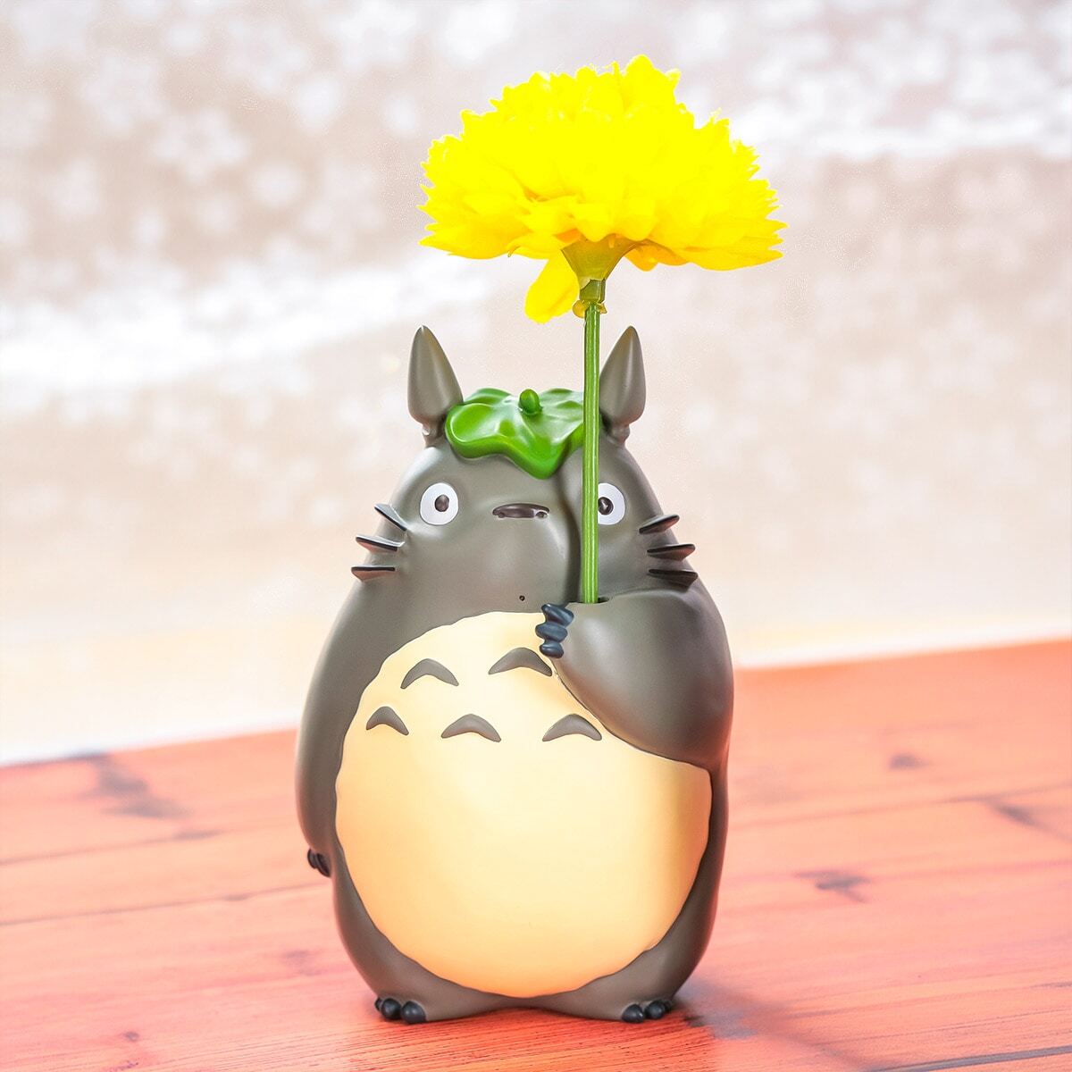 『SALE』Yellow moon dwarf Totoro spore17-5 yellow moon dwarf 'totoro' sporeling 10 P.Willinckii Yellow