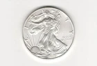 2021 Type 1 American Silver Eagle Uncirculated Bullion $1 Coin