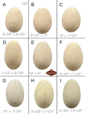 9 Empty VTG XL Blown Goose Eggs Blown White Shell Pysanky Butterk Two Hole