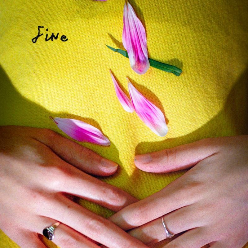 Rosehip Teahouse Fine E.p. 12 Inch Vinyl NEW