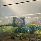 Picture 4 of 9
