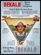 1956 Style Dekalb Corn, Chix, Sorghum NEW Metal Sign: 9x12" Ships Free