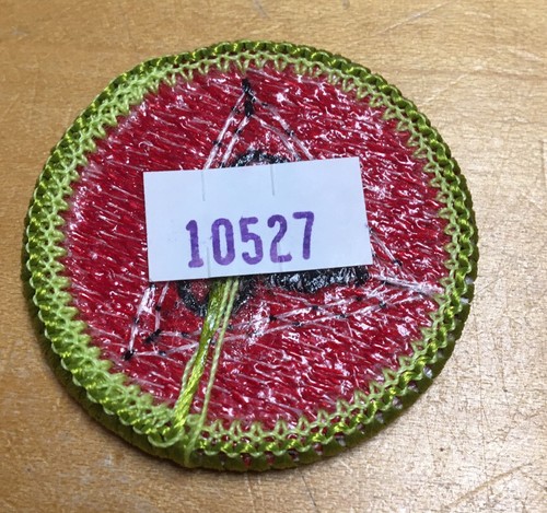 BOY SCOUTS CYCLING MERIT BADGE TYPE H NEW - 第 2/4 張圖片
