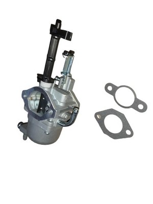 Vergaser Robin EX40, Rüttelplatte Verdichter, Wasserpumpe 