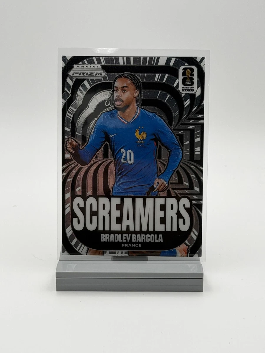Telecarte FRANCE98開催10都市+大会ポスター=11枚 使用済 25+ Soccer France Sports Trading Cards for sale | Updated Oct 2026