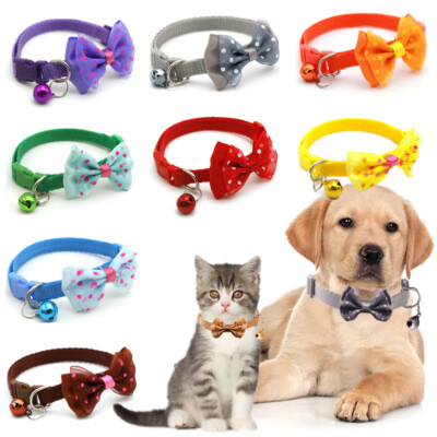 VALKIES Reflect – Veganes Halsband Für Hunde Mit Zugstopp, Biothane®, Paracord-Seil, Wasserfest, Reflektierend, In Größe XS (bis 31cm Kopfumfang)