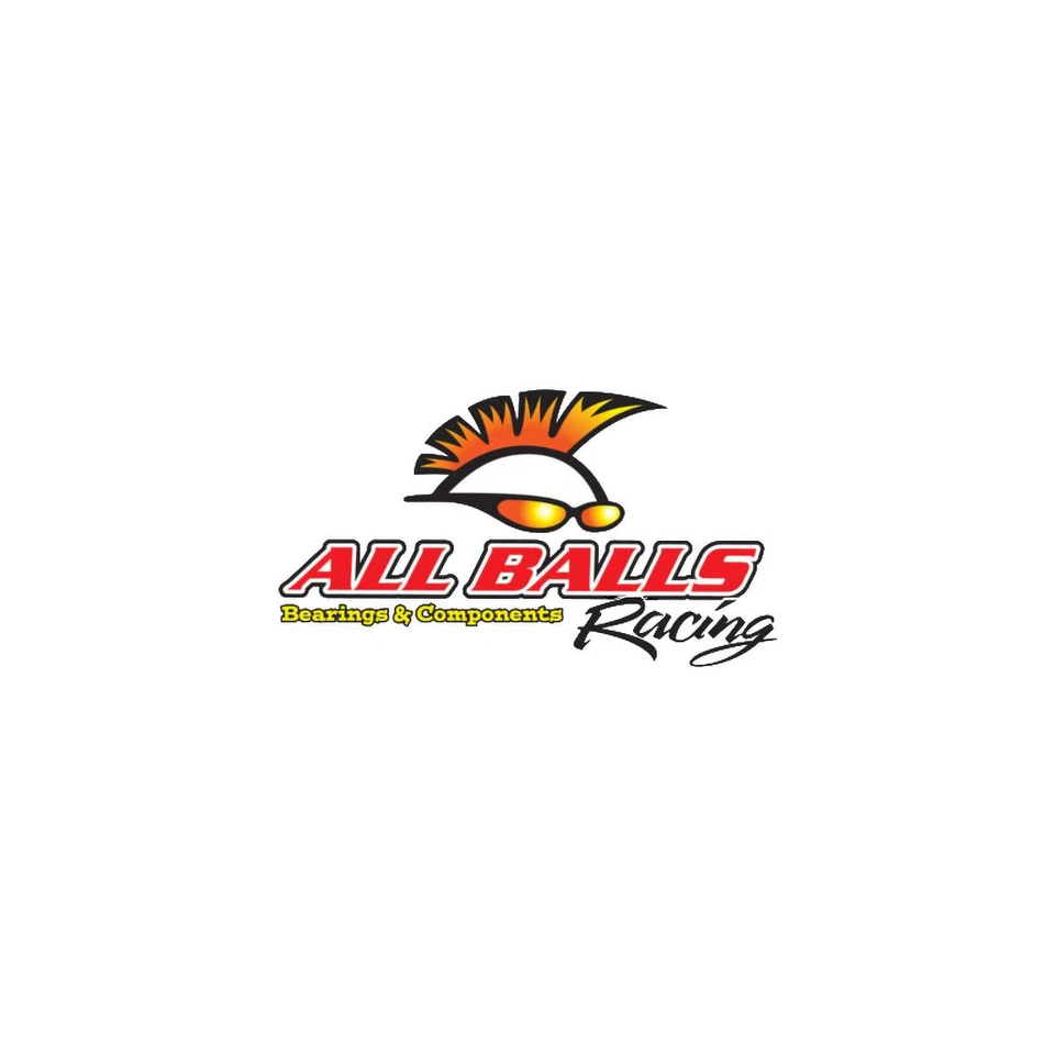 PARAOLIO FORCELLA 55-130 50X63X10.5 DRD2 FOR HUSQVARNA 250 TC 2008/2009 - Immagine 2 di 3