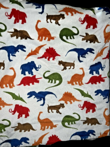 Sweet JoJo Designs Dinosaur Baby Security Blanket Minky 32 x 38 inches - Picture 1 of 3