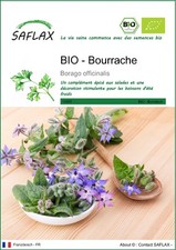 SAFLAX - BIO - Bourrache - 40 graines - Borago