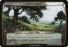Fields of Summer Planechase 2009 PLD Common MAGIC THE GATHERING CARD ABUGames