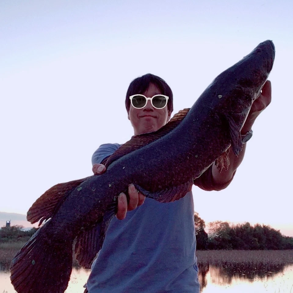 DISEÑO LEGÍTIMO Wild Side WSC68XXH-5 Big Bait Especial "Casi Como Nuevo" De Japón #Y-16 Foto 2 de 4