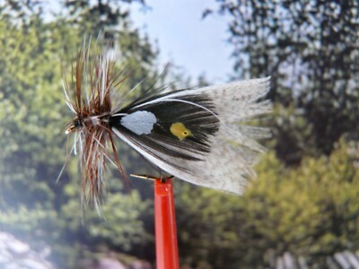 X-Version Fly Trockenfliege RED SPINNER C.D.C 16, - Gr.16 - 1Stück - 28