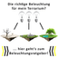 Bild 3 von 10
