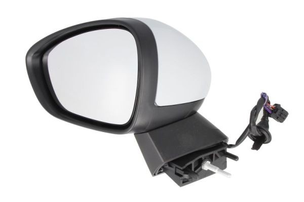 Left BLIC 5402-21-042361P Exterior Mirror for CITROËN