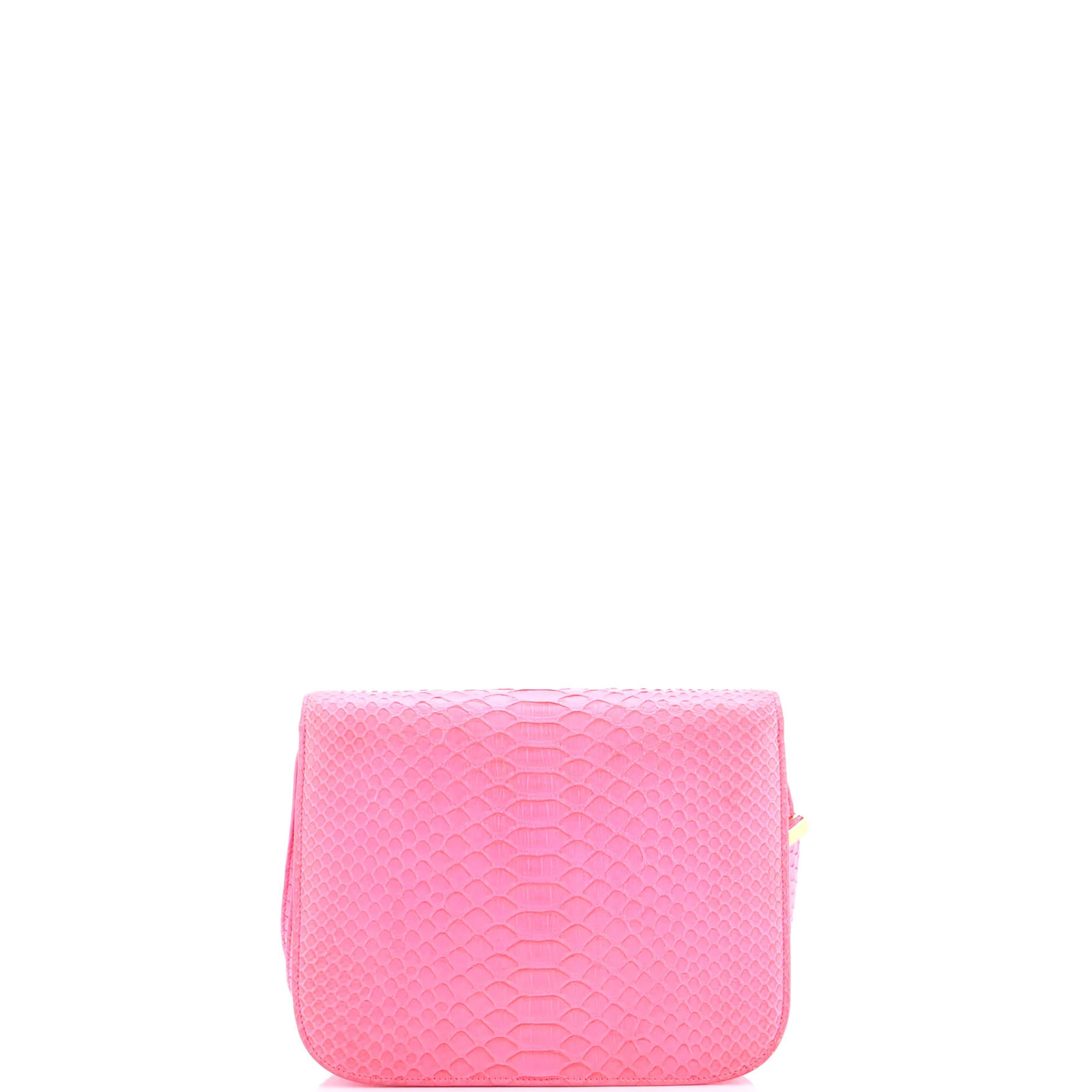 Celine Classic Box Bag Python Medium - image 3