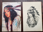 Set of 8 Antique Native American Indian Postcards (AZ, CA, 1901-1922, Minnehaha) — photo 1