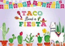 Mexico Fiesta Backdrop Taco Bout a Fiesta Party Photography Background