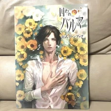 Toraware no Palm Official Fan Book Japanese version KADOKAWA Game Linkage