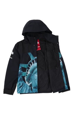 DS. Supreme x The North Face TNF Statue Liberty Mountain Jacket  
