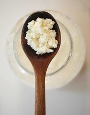 Milk Kefir Grains