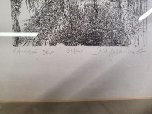 vtg. gerahmte kunst lithographie 36/200 / r4 t32 - Bild 3 von 4
