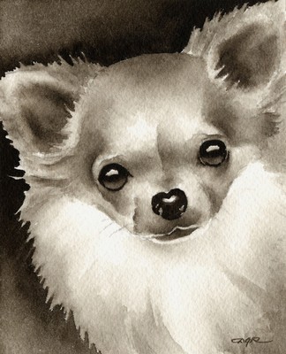 Long Haired Chihuahua Art Print Sepia Watercolor Painting By