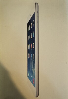 Apple iPad Mini 2