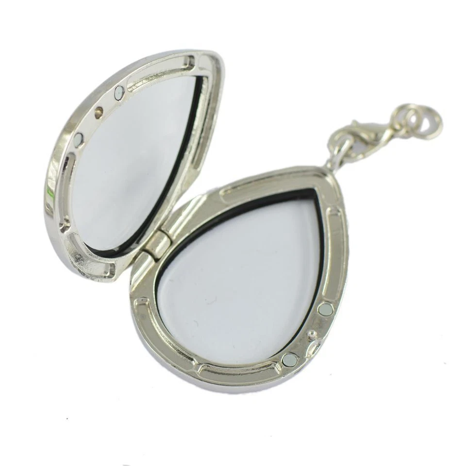 2 Ciondoli In Argento Con Ciondolo In Lega Galleggiante In Vetro Magnetico Con - Immagine 4 di 4