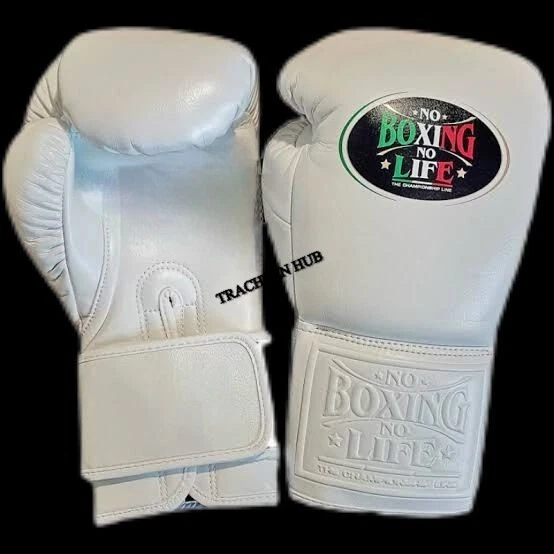 Customized Handmade Canelo No Boxing No Life Boxing Gloves | WHITE |