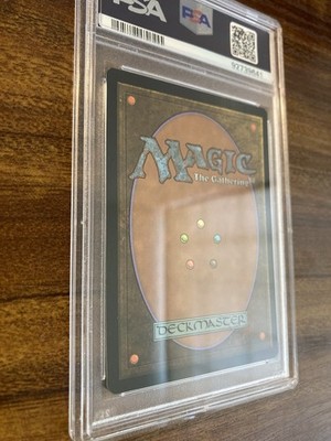 MTG✨PLAINS Full Art 🌈 FOIL✨Unfinity PSA 10 GEM MINT Land