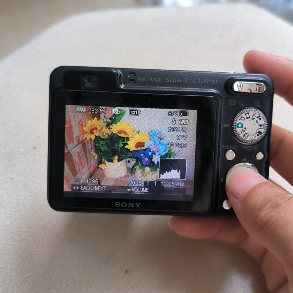Sony Cybershot DSC-W120 7.2 MP Digital Camera 4x Optical Zoom with