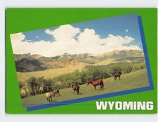 Postcard Horses At Wyoming's Wide Open Spaces USA