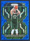 2025 Panini Sandro Mamukelashvili Base (Raw)