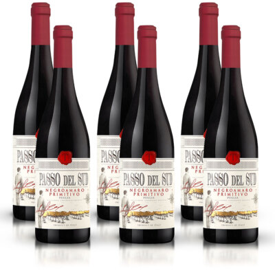 Passo del Sud Negroamaro Primitivo IGP, halbtrocken, Weinpaket (6x0,75l)