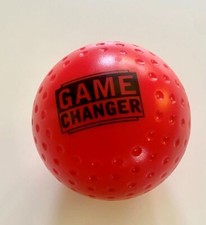 GAME CHANGER - iBall Feldhockey
