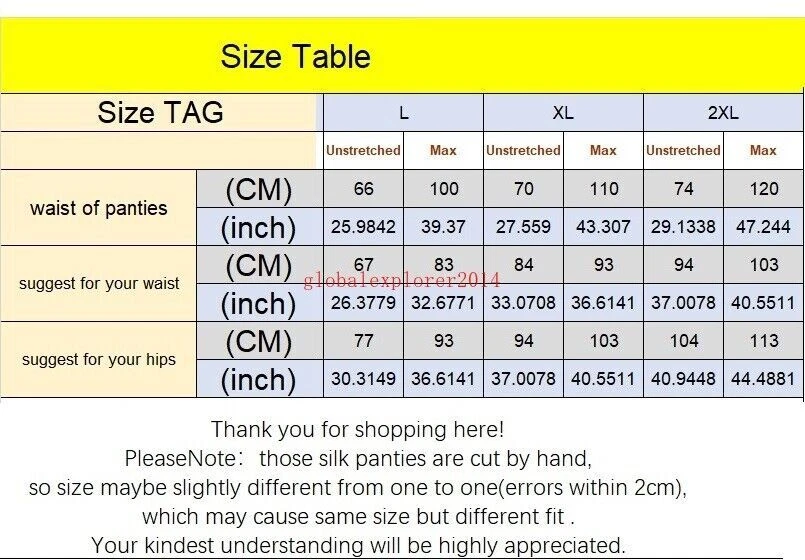 Women Pure Silk Hipster Bikini Panties Sheer Brief Transparent Underwear Knicker - image 2 of 4