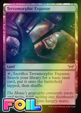 x1 Terramorphic Expanse DSK Duskmourn MTG 269 FOIL LAND M/NM 1x