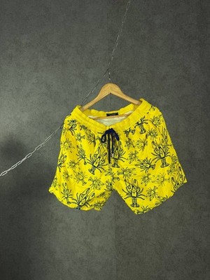 Vilebrequin designer shorts