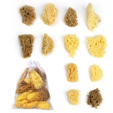 12Pack Natural Sea Sponges for Painting100 Natural  Kid-Friendly Acrylic Wa...