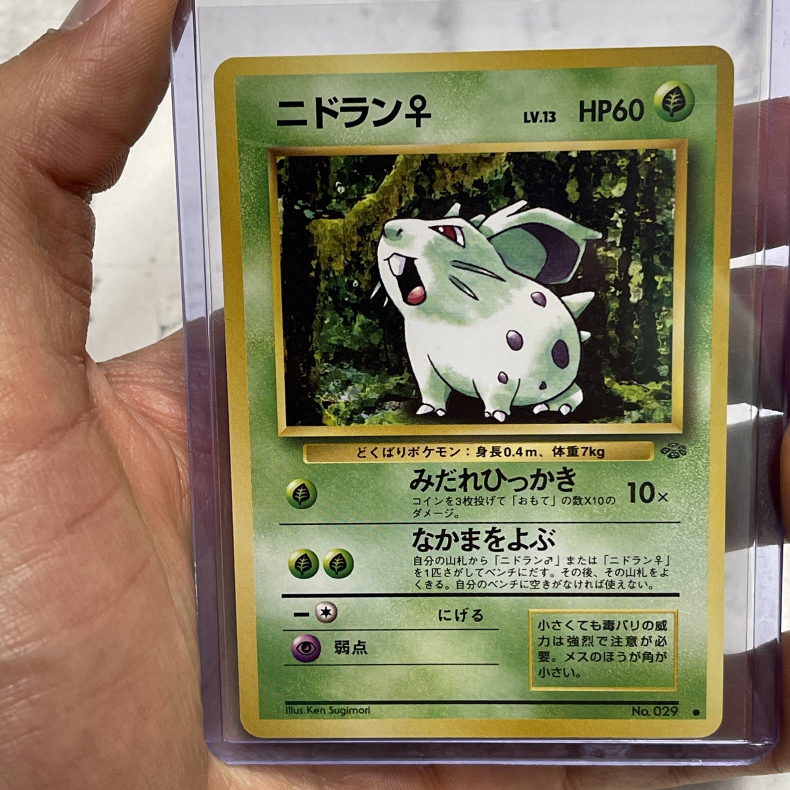 1997 Pokemon Jungle Nidoran Female #NO. 029 NM/MT Japanese Vintage Common Card