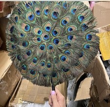 Vintage Ostrich PEACOCK FeatherHand Fan