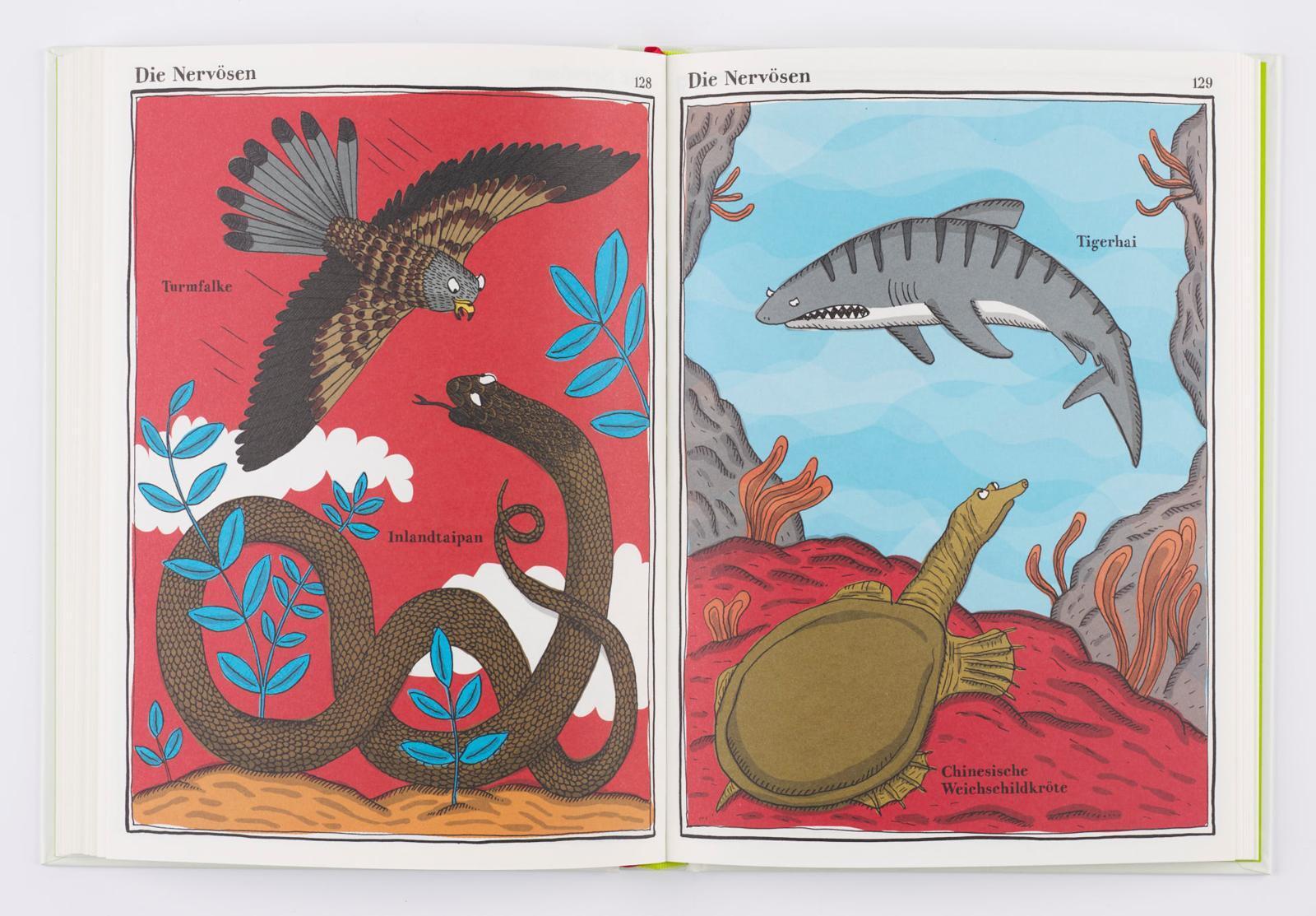 Thumbnail - Walross, Spatz Und Beutelteufel Adrienne Barman